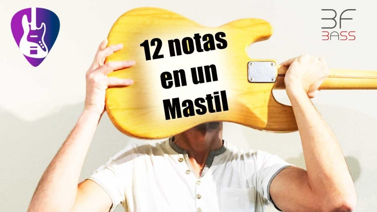 🎸 Notas del bajo de 4 cuerdas – Beto Foronda